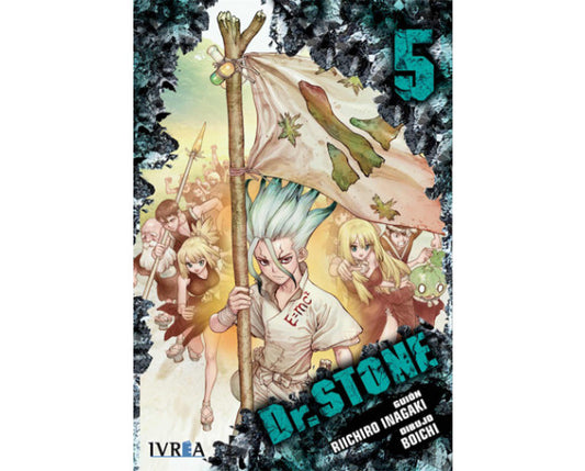 DR. STONE